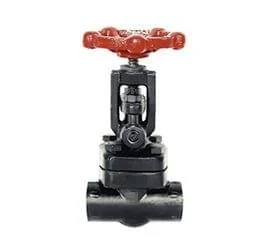 Globe Valves – Socket Weld